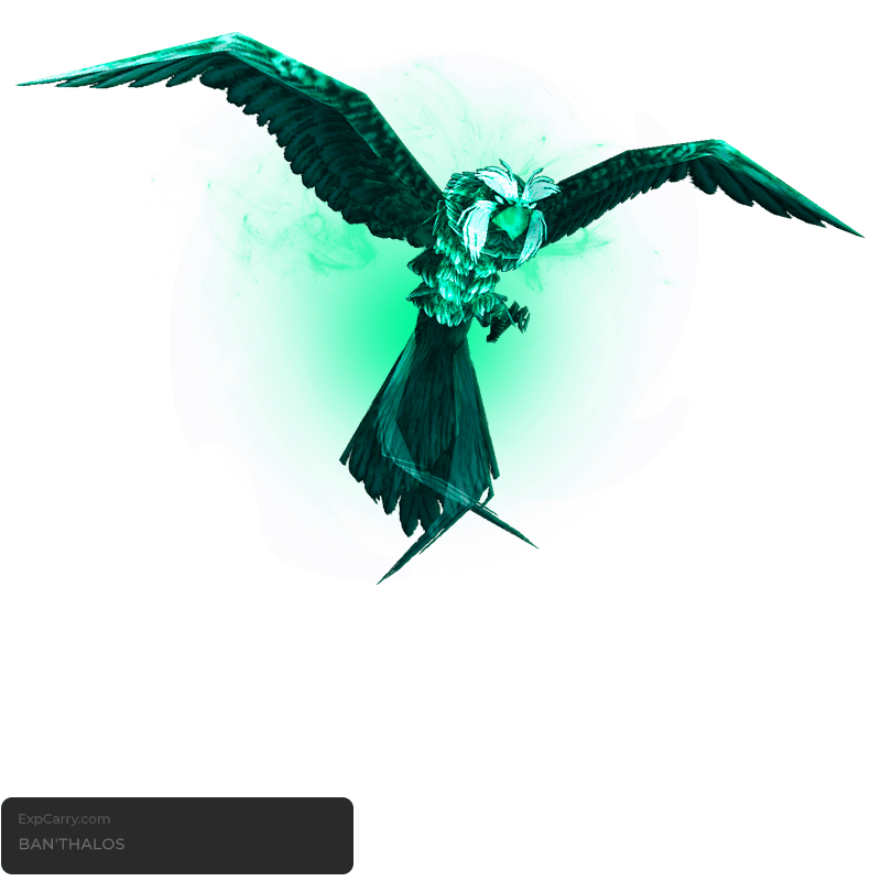 Dragonflight rare timers